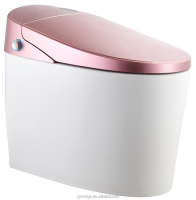 Απολαύστε την απόλυτη άνεση με μοντέρνο σχεδιασμό Eco Smart Automatic Intelligent Toilet Θερματικό κάθισμα και στεγνωτήρα θερμού αέρα