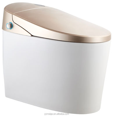 Απολαύστε την απόλυτη άνεση με μοντέρνο σχεδιασμό Eco Smart Automatic Intelligent Toilet Θερματικό κάθισμα και στεγνωτήρα θερμού αέρα